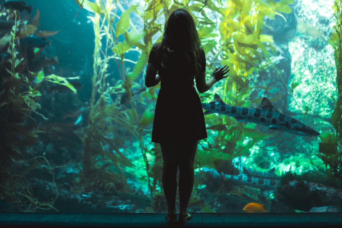 Top Connecticut Attractions for Families
