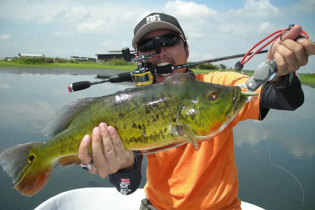 The Bottom Line: Get Hooked on Travel