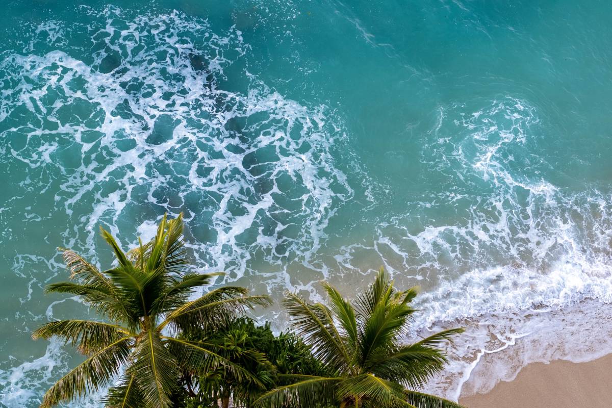In Conclusion - The Hawaiian Odyssey