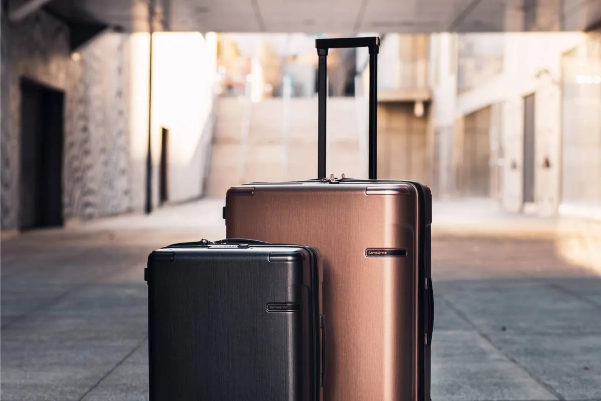 Look at Other Luggage Carousels