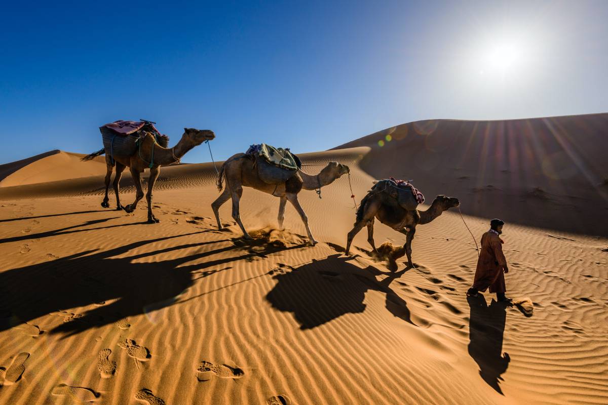 Unveiling Marrakech: Top Things to Do in the Red City and Beyond!