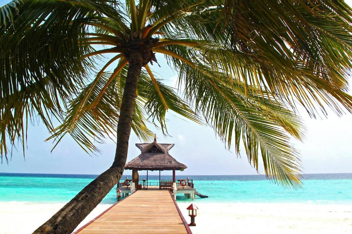 5 Tips to Stay Clear of Misleading Hotel & Travel Ads