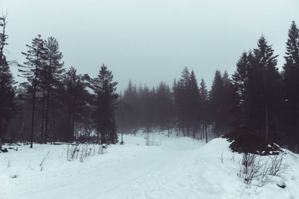 Skiing, Snowboarding, and Biking at Oslo Vinterpark