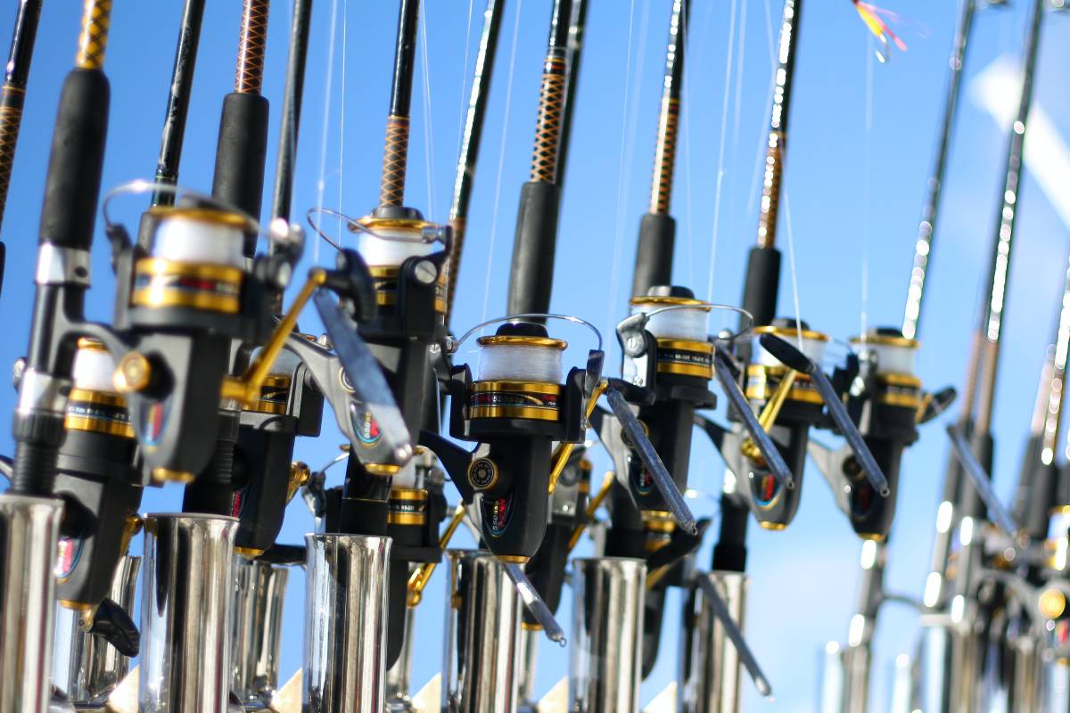 Catch Your Flight & Fish Too 🎣 : Can You Bring Fishing Rods on a