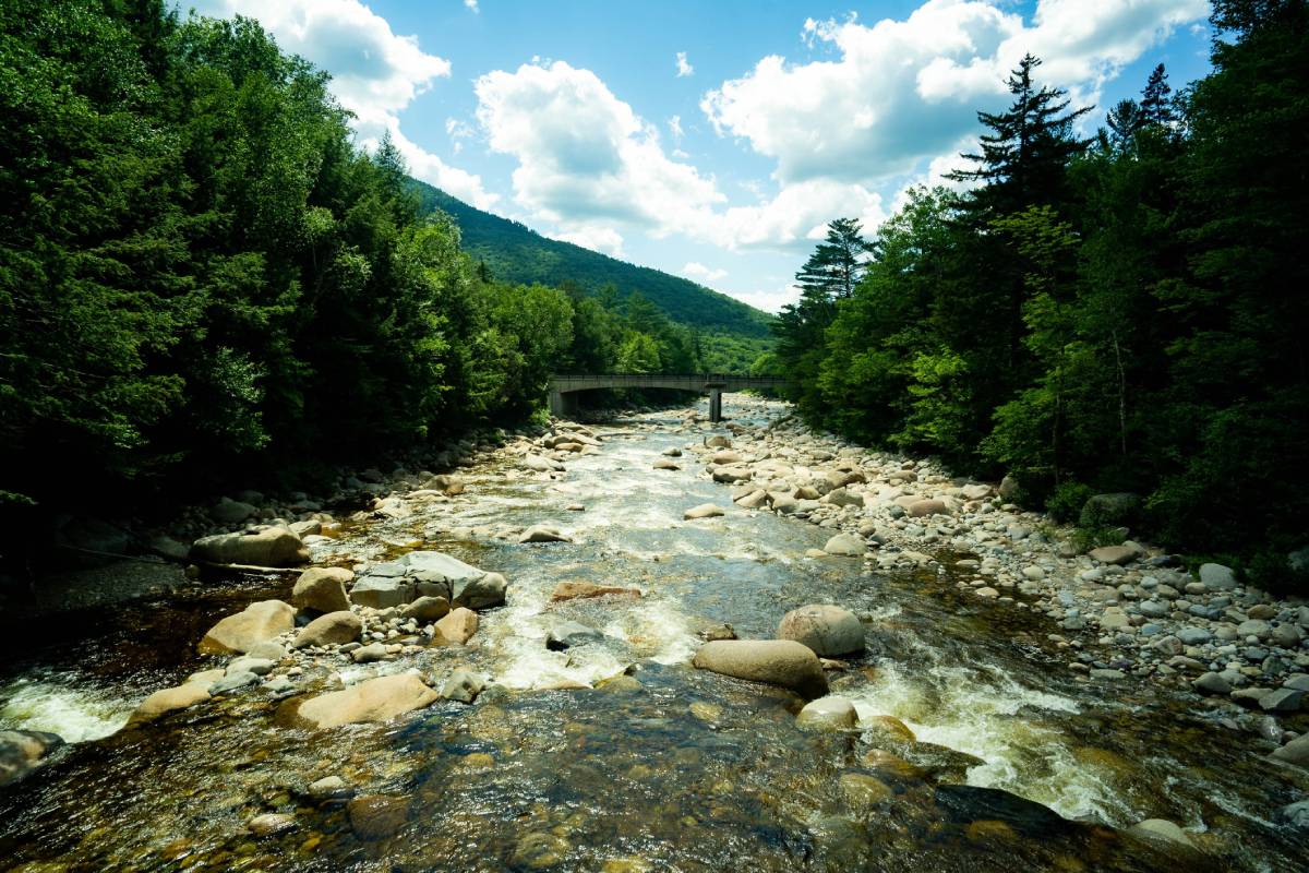 10 fun things to do in New Hampshire