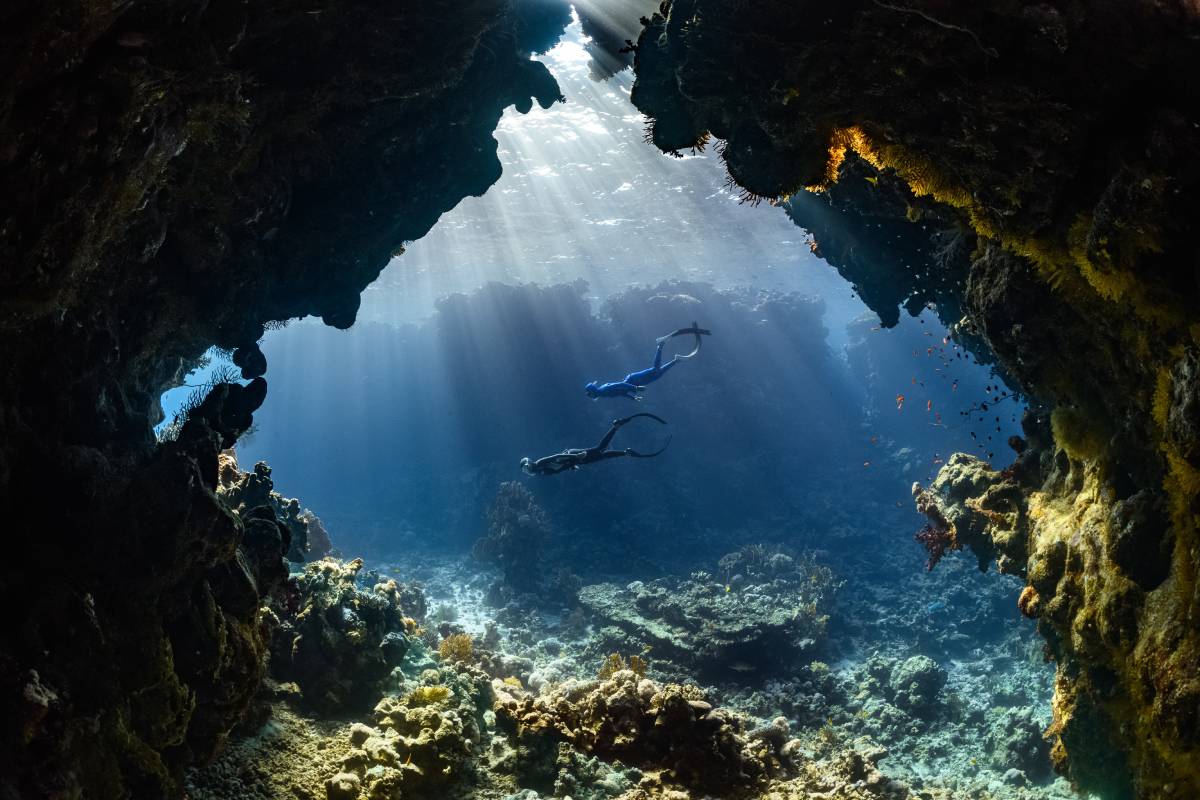 Immerse Yourself in the 2023’s Top Diving Destinations: Unveiling Nature’s Underwater Spectacles!