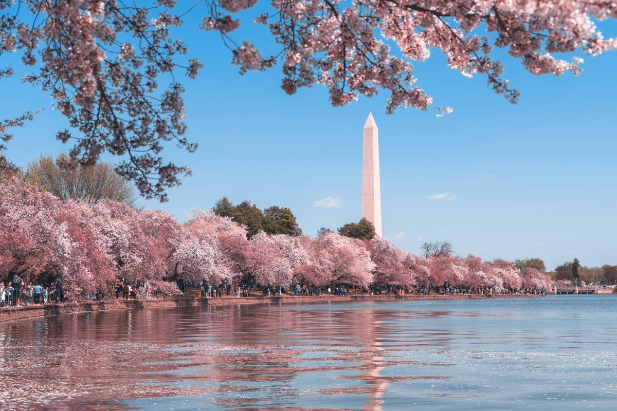 Unlock Your Ultimate  Trip to Washington DC: Beyond The Usual Sights