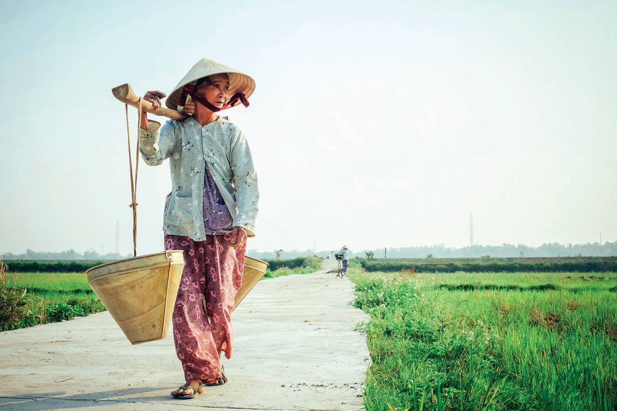 Vietnam: Dive Deep into the Enigmatic Cultural Landscape!