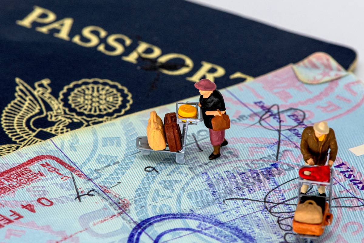 What Is the Passport Book Number Used for?