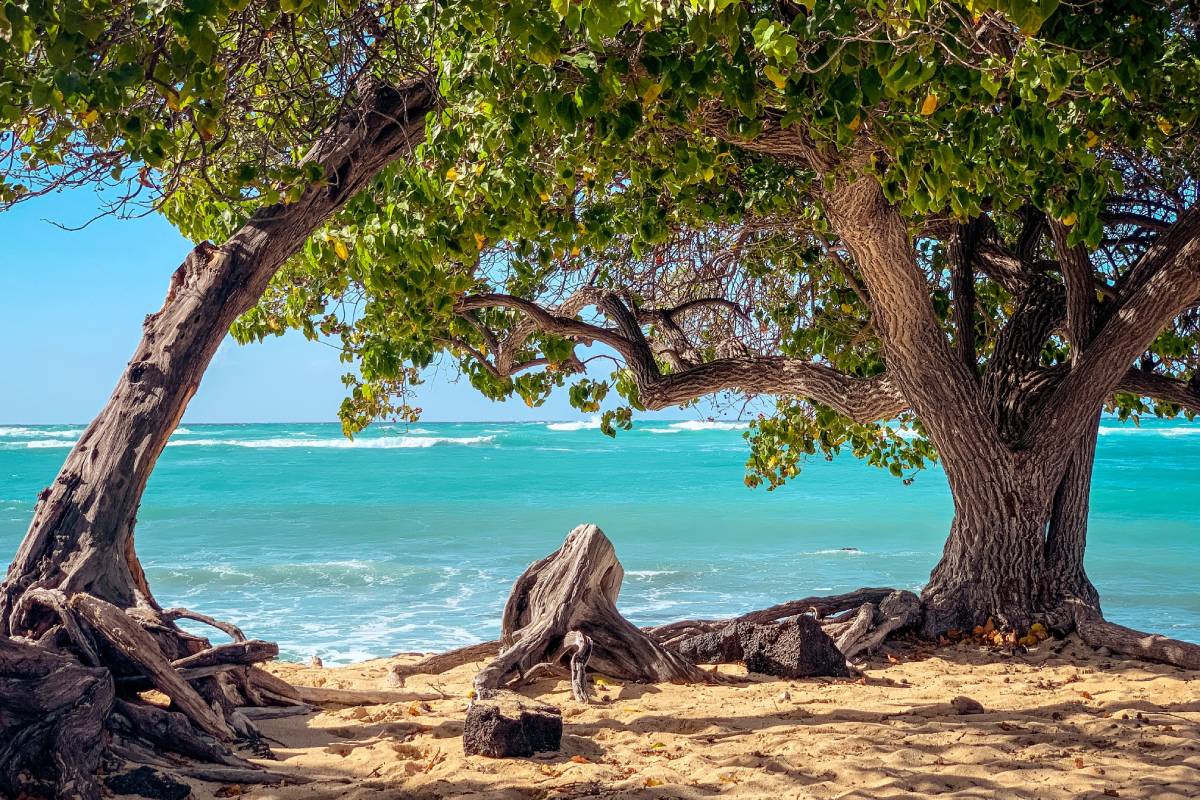 Where to Stay in Hawaii: Discovering Hidden Treasures Beyond the Beaten Path
