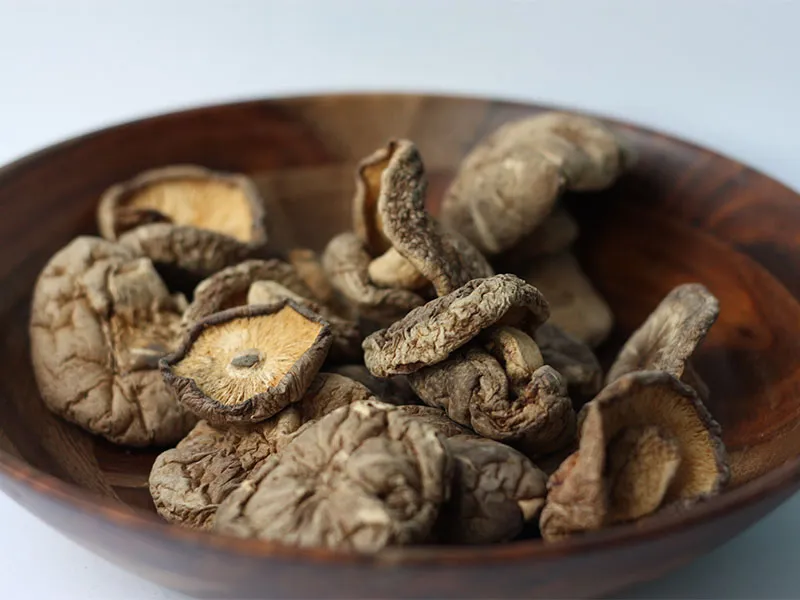 Can You Bring Dried Mushrooms on Planes?
