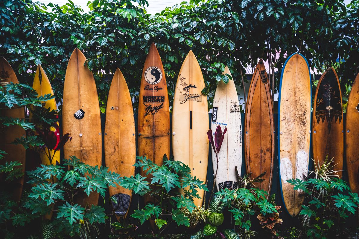Can I Take a Surfboard on a Plane? Navigating the Waves of Air Travel Regulations