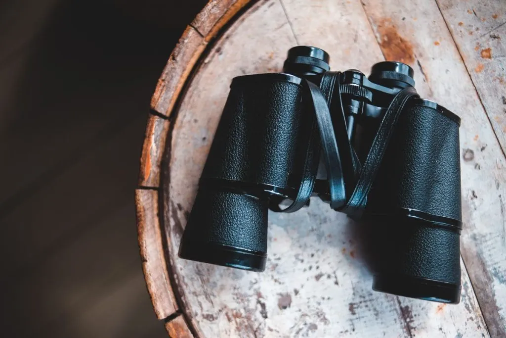 Don't leave your binoculars at home!