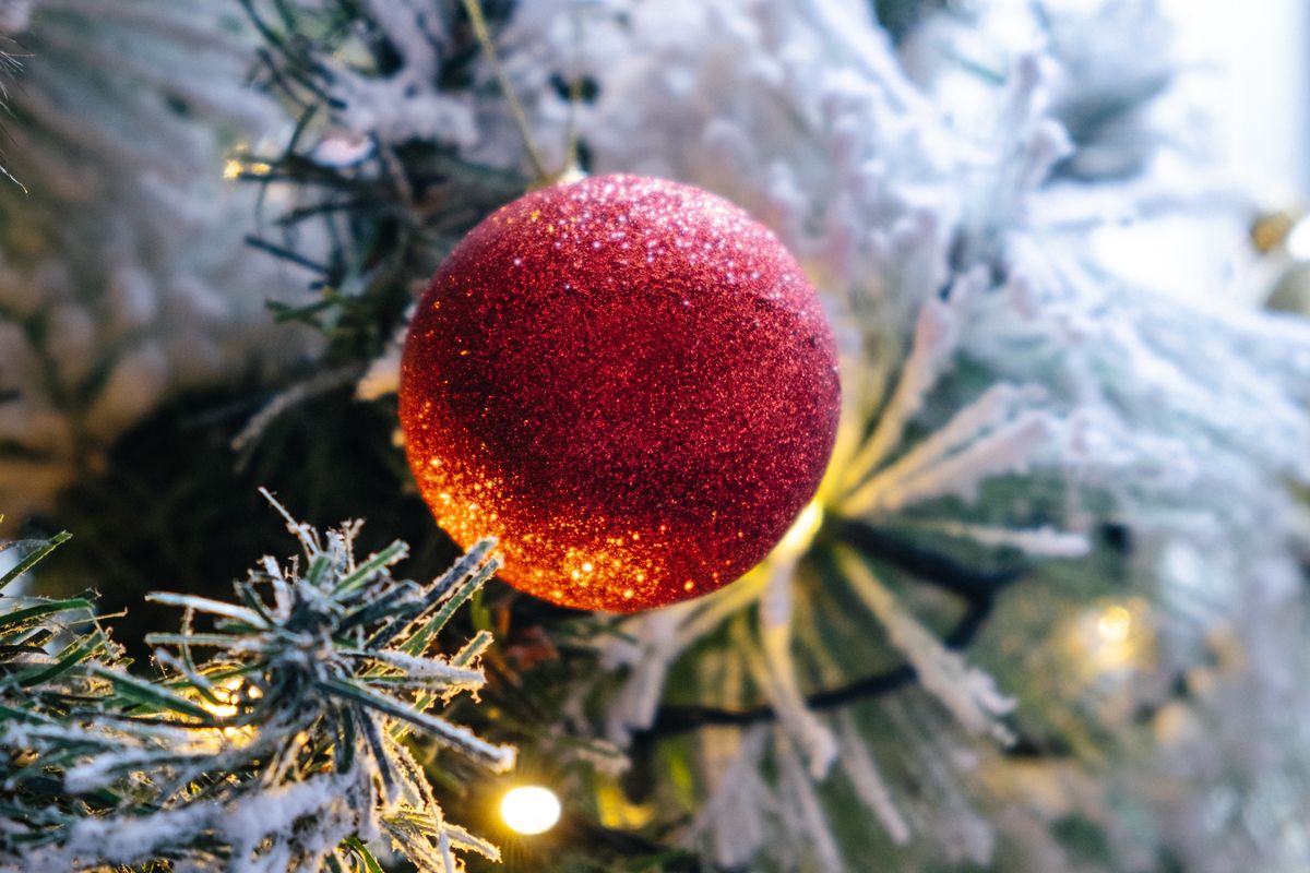 Can You Take a Christmas Tree on a Plane? A Festive Guide for Travelers