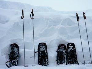 Snow shoes and ski poles in snow