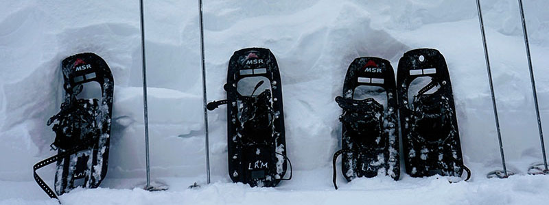Snow shoes and ski poles in snow