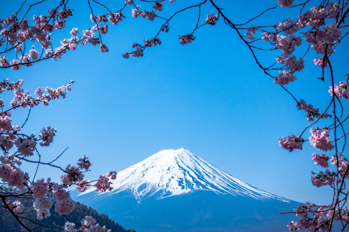 Epic Trip to Japan: Dive Into the Land of the Rising Sun Like Never Before!