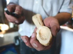 Wood carving spoon